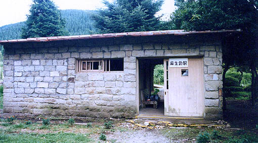 �{�����@�����މw