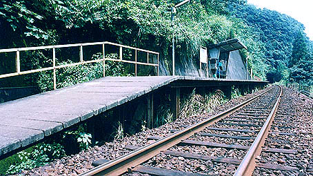 �������@�e�҉w