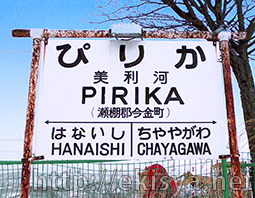 ���I���E�����͉w