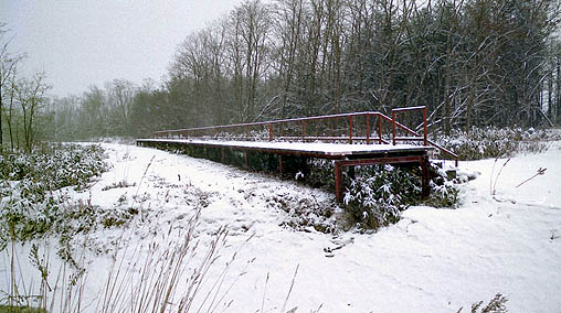 ������@���O�c�w