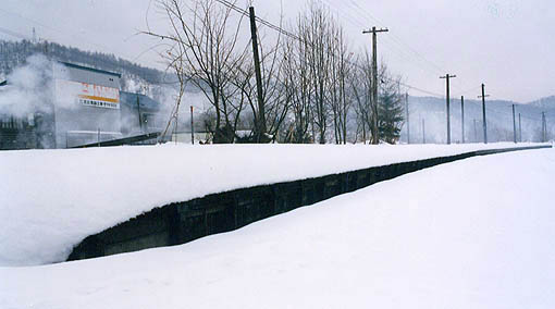 �y�����@�퐶�w