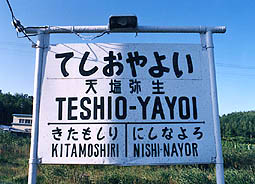 �[�����@�V���퐶�w