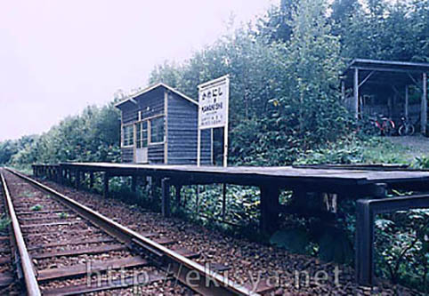 ������@�쐼�w