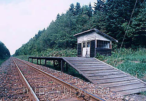 ������@�O���w