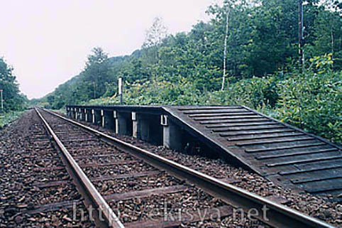 ������@�ǌk�w