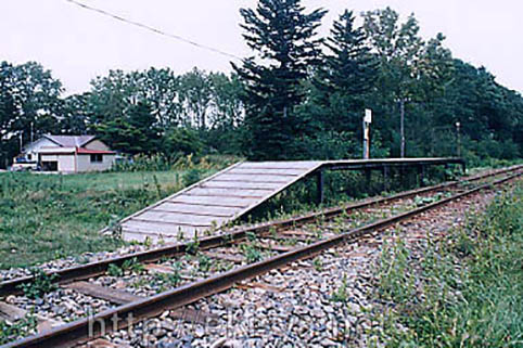 ������@�l�����w