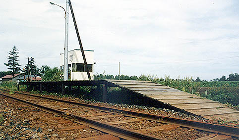 �N�Ԑ��@�񌩒����w