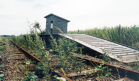 �N�Ԑ��@�܎��R�w