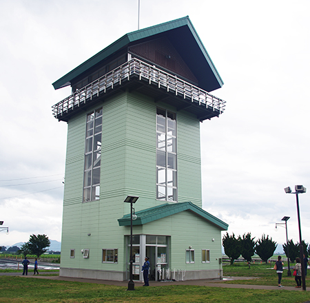 田んぼアート駅