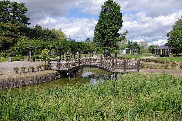 ����ߌ����w