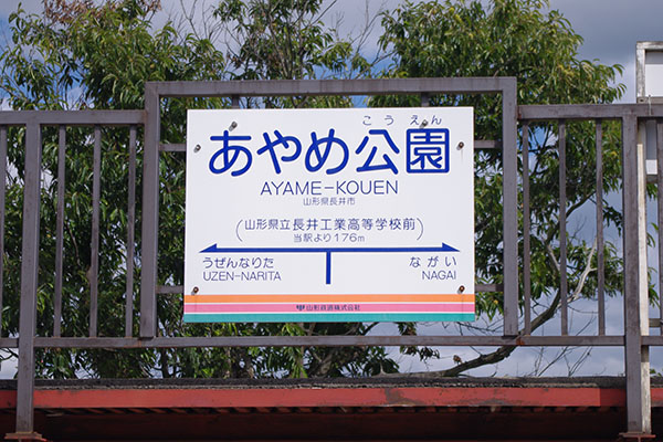 ����ߌ����w