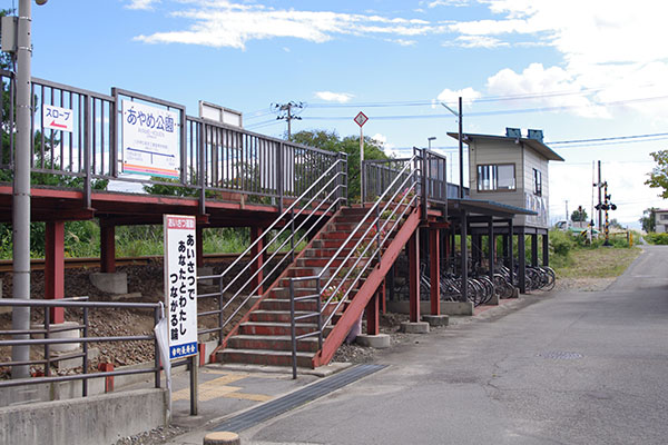 ����ߌ����w