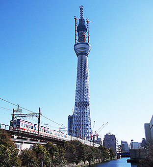 �����S�� �ƕ����w