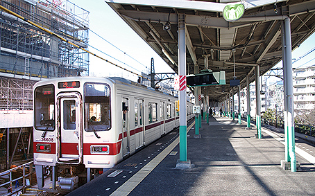 �����S�� �ƕ����w