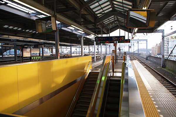 �����S�����c�w