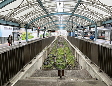 ���c�}�d�S�E�А��]�m���w