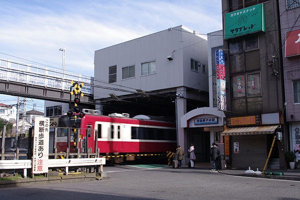 ���}�V�q���w