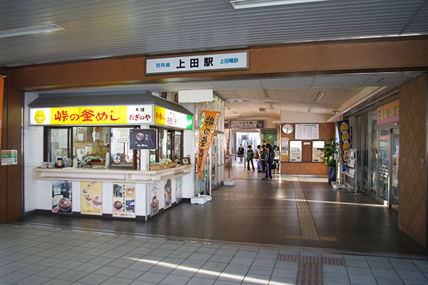 ��c��ʏ�c�w