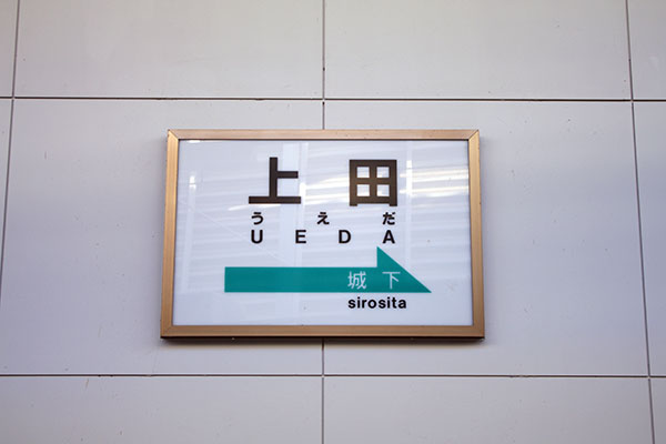 ��c��ʏ�c�w