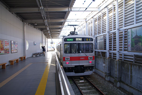 ��c��ʏ�c�w