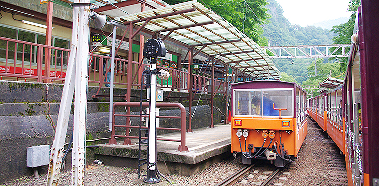 �������J�S�� ���މw