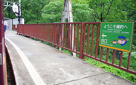 �������J�S�� ���މw