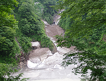 �������J�S�� ���މw