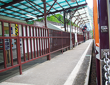 �������J�S�� ���މw