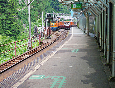 �������J�S�� �O���w