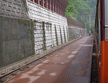 �������J�S�� �������w