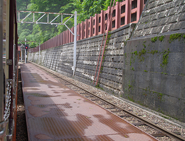 �������J�S�� �������w