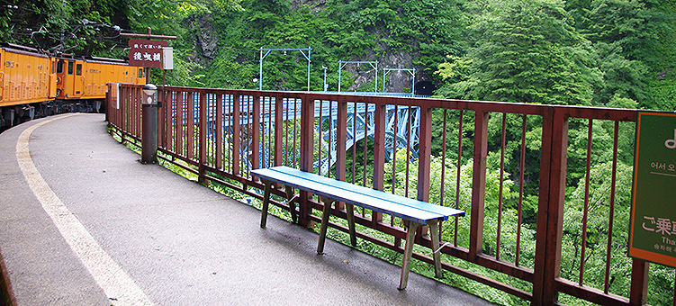 �������J�S�� ����w