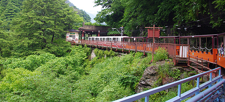 �������J�S�� ����w