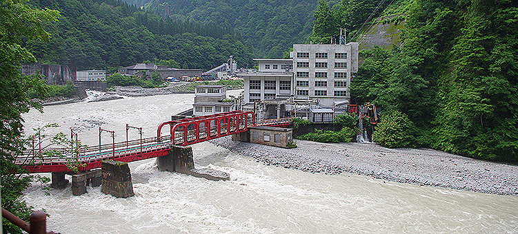 �������J�S�� �L���w