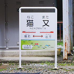 �������J�S�� �L���w