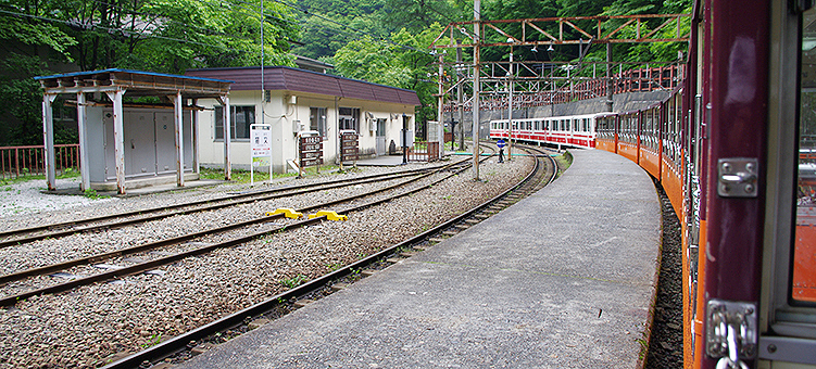 �������J�S�� �L���w