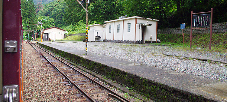 �������J�S�� �����w