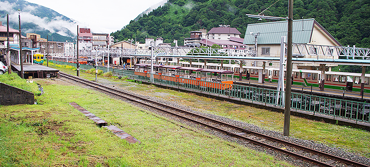 �������J�S�� �F�ތ��w