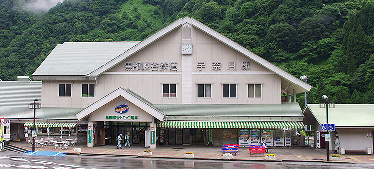 �������J�S�� �F�ތ��w