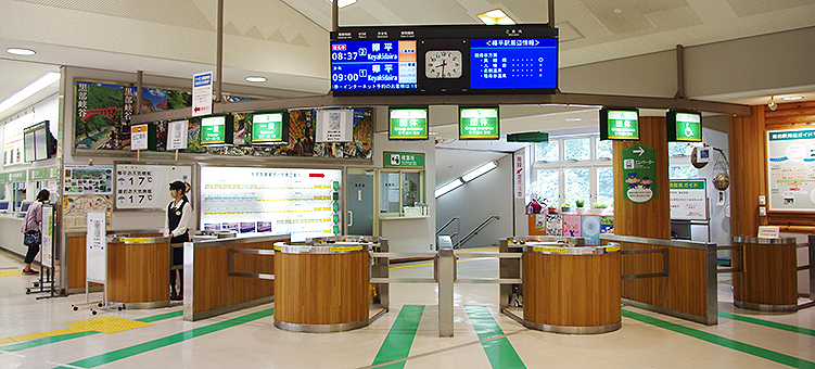 �������J�S�� �F�ތ��w