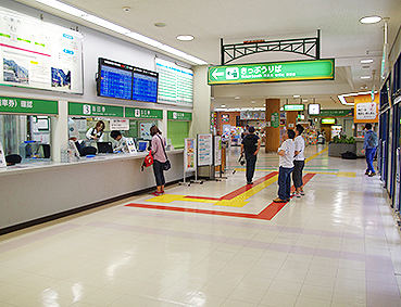 �������J�S�� �F�ތ��w