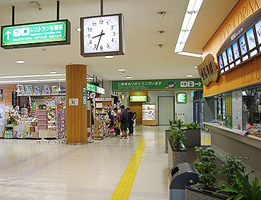 �������J�S�� �F�ތ��w