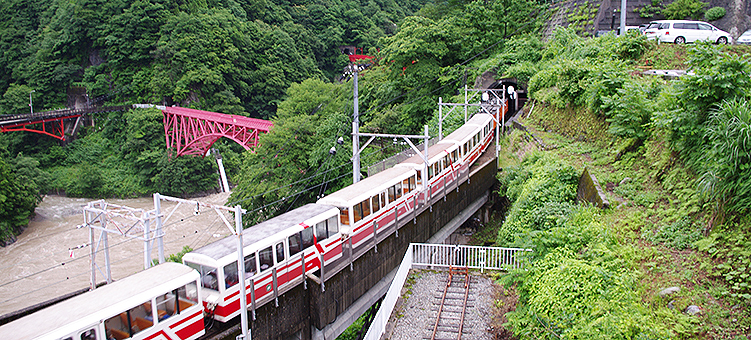 �������J�S�� �F�ތ��w