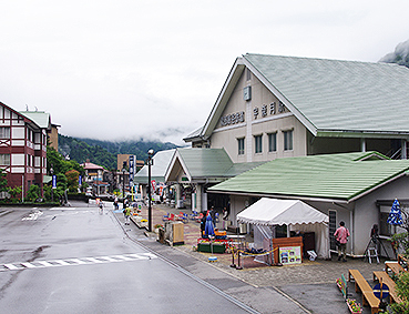 �������J�S�� �F�ތ��w