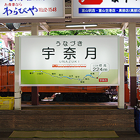 �������J�S�� �F�ތ��w