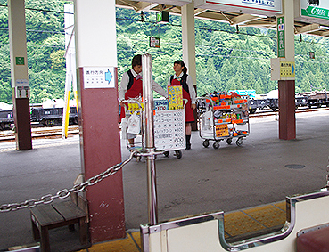 �������J�S�� �F�ތ��w