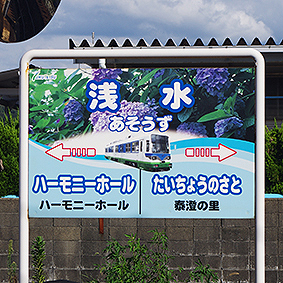 ����S�� �󐅉w