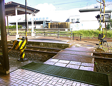 ����S�� �󐅉w