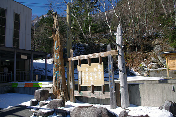 ����ѕ��w