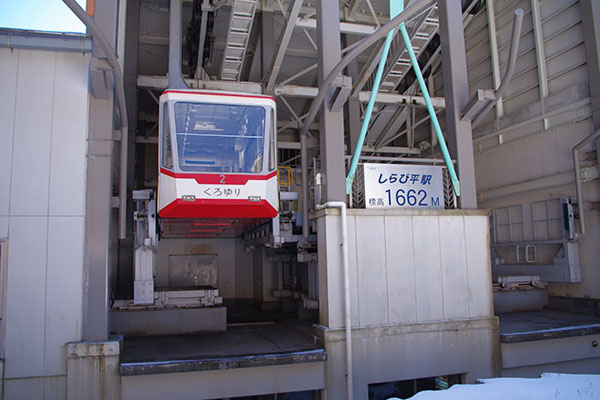 ����ѕ��w